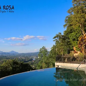 https://villa-rosa.negombohotels.net
